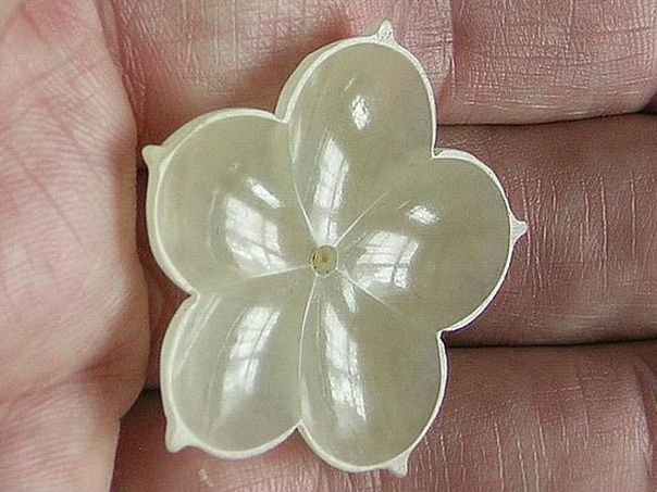 Flower 113 - (3609)
